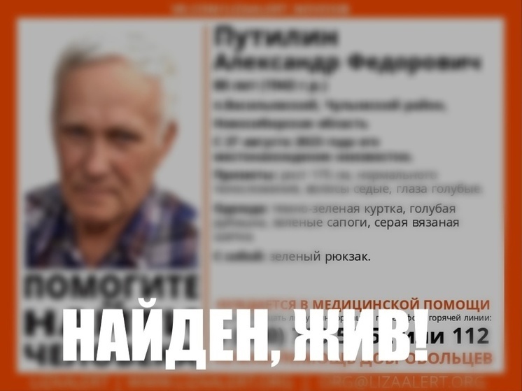 Под Новосибирском прекратили поиск 80-летнего пенсионера с зелёным рюкзаком