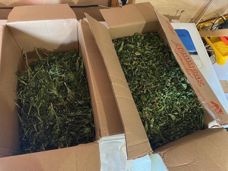 Полицейские изъяли у сахалинца пять килограммов марихуаны