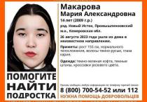 Девочка потерялась в Промышленновском муниципальном округе
