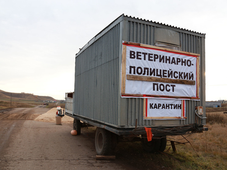 В Уфимском районе Башкирии ввели карантин из-за вспышки птичьего гриппа