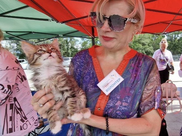 Во Владивостоке прошла очередная выставка-раздача бездомных собак и кошек