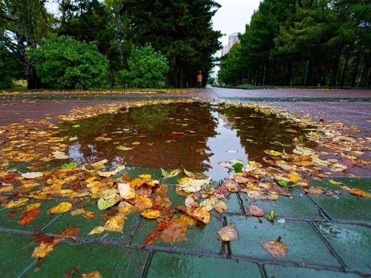 В Новосибирске опубликован прогноз погоды на 1 сентября