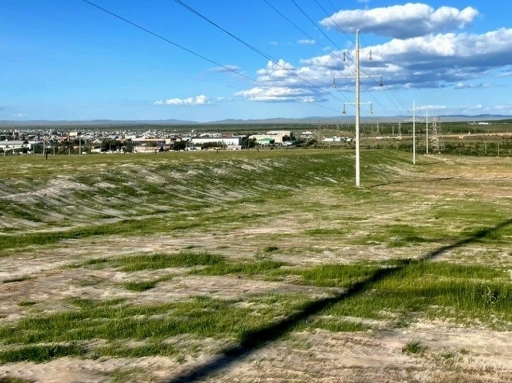 Более 10 гектаров рекультивировали на месте свалки в Борзе