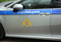 В пресс-службе СУ СКР по Смоленской области сообщили, что суд арестовал местного жителя, который ранее палками избил двух девушек