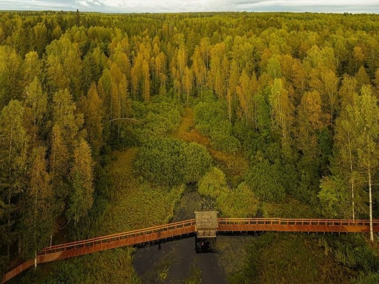 Экомаршрут «Южная тайга» в Тверской области – участник конкурса «Russian Traveler Awards 2023»
