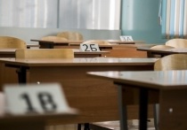 Перед новым учебным годом в школах Омской области не хватает 1098 педагогов