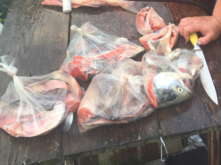 На западе Камчатки от ранения умер рыбообработчик