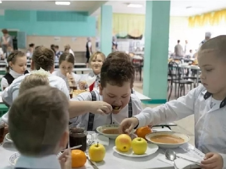 Александр Терентьев: все школьники должны питаться одинаково независимо от места проживания