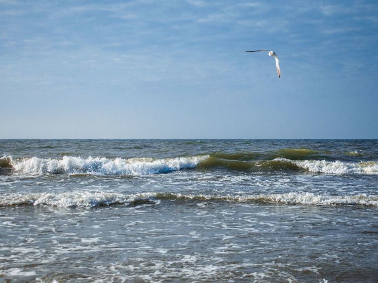 Калининградское побережье Балтики прогрелось до 21 градуса в конце августа