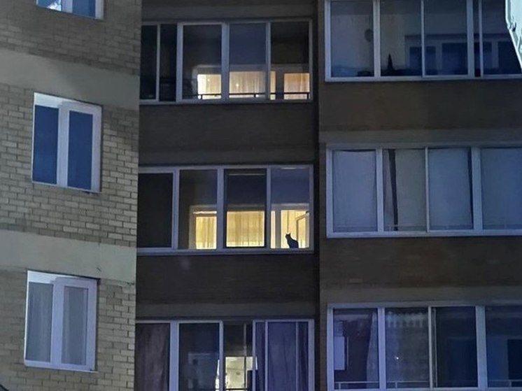 Спасенный с балкона 11 этажа мужчина в Чите мог быть под наркотиками