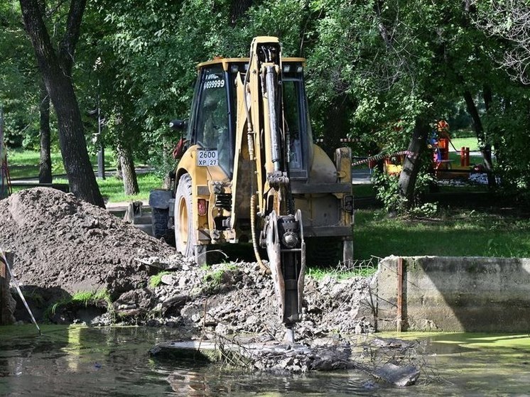 В хабаровском парке «Динамо» появится новая зона отдыха