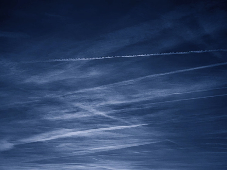 Пассажир передумал лететь в Грозный и сказал: "Самолет взорвется"