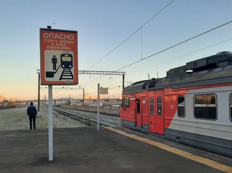 Полиция сняла с электрички из Петербурга в Выборг пару зацеперов