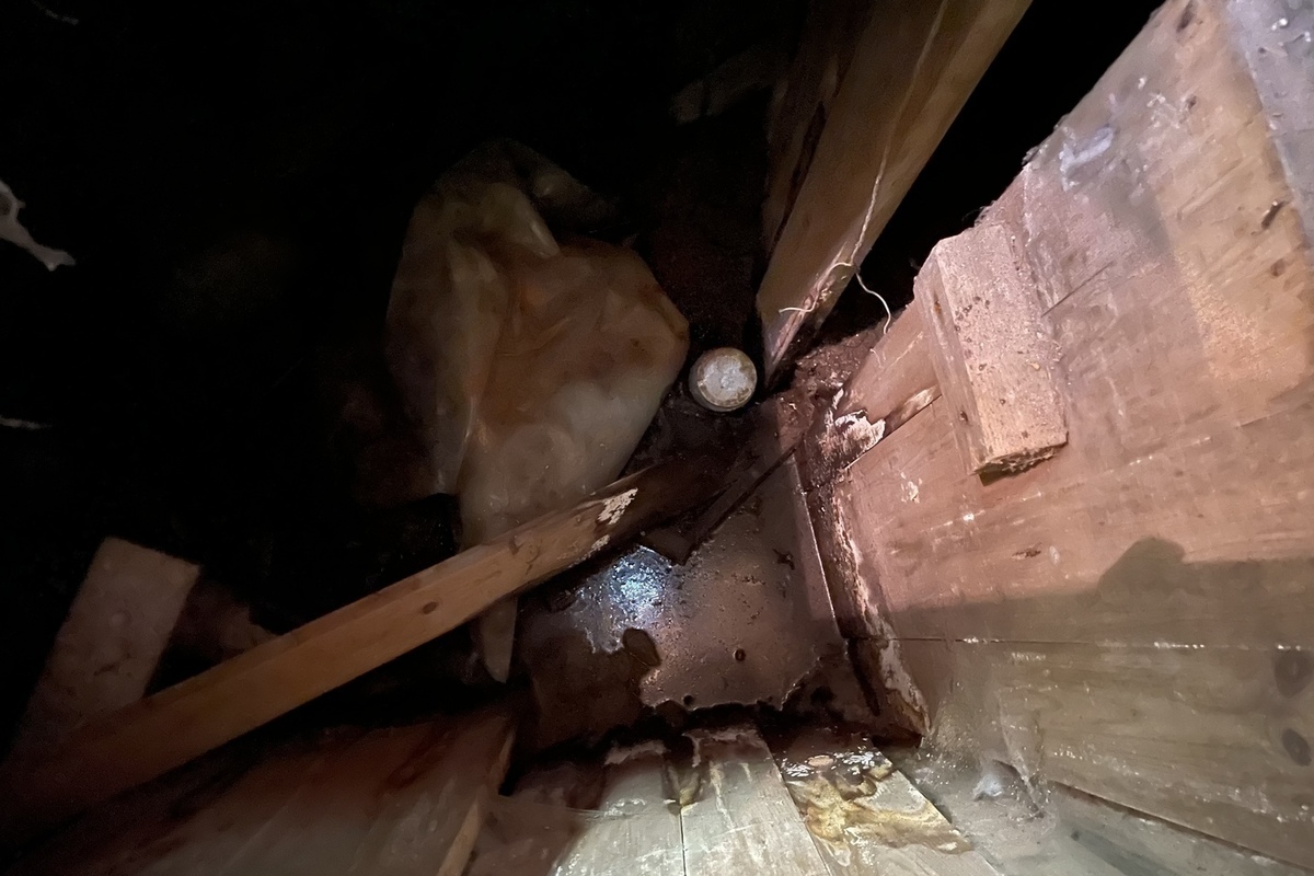 Два гнилых трупа бомжей нашли в подвале жилого дома в Кингисеппе