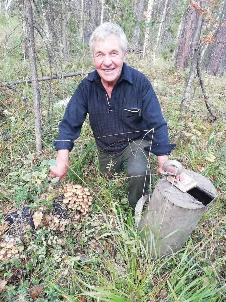 В Красноярском крае не могут найти пенсионера, ушедшего в лес за грибами