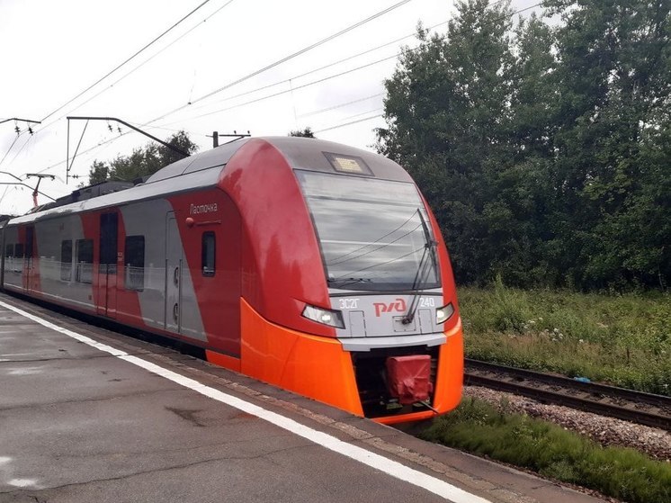 В Петербурге могут установить единый тариф оплаты на электрички в пригород