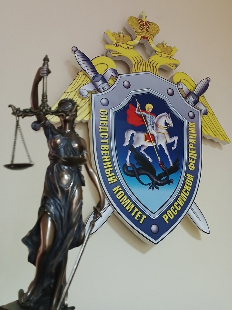 Житель Орла приговорён к 12 годам колонии за удар ножом
