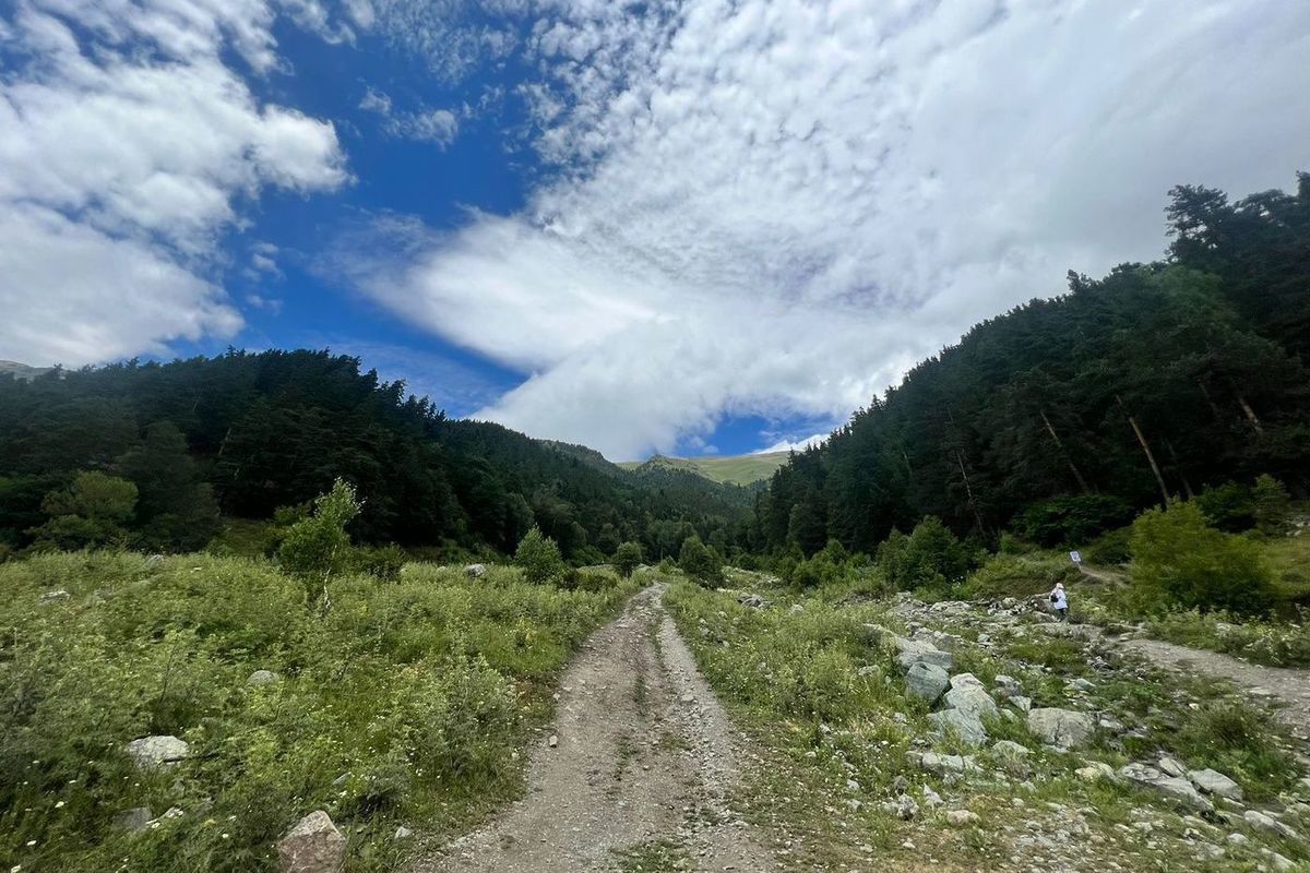 Тамберда Кабардино Балкария Черкесия