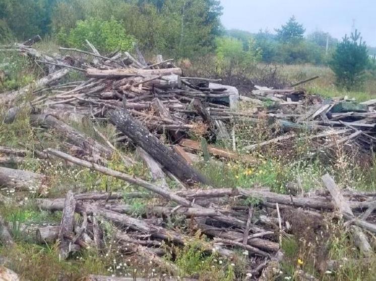 В рязанской Солотче обнаружили несанкционированную свалку древесных отходов