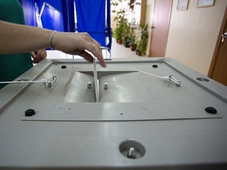 В Омской области для выборов изготовили 7 тонн бюллетеней