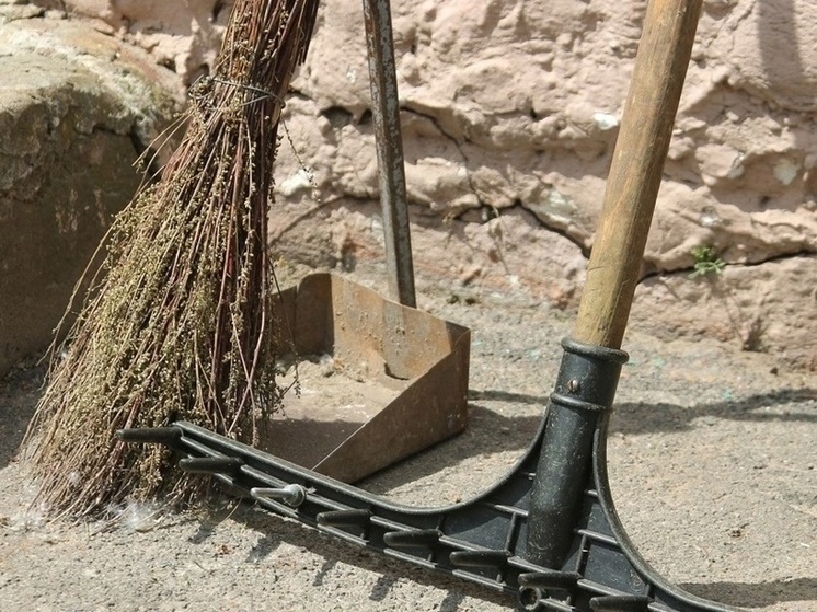 Два десятка дворов Петрозаводска заросли травой