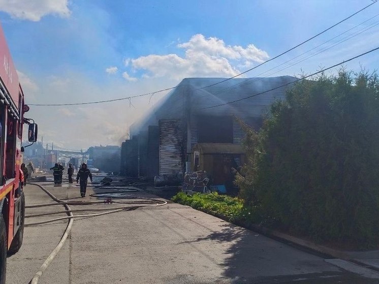 Спасатели потушили пожар в деревне Старая 29 августа