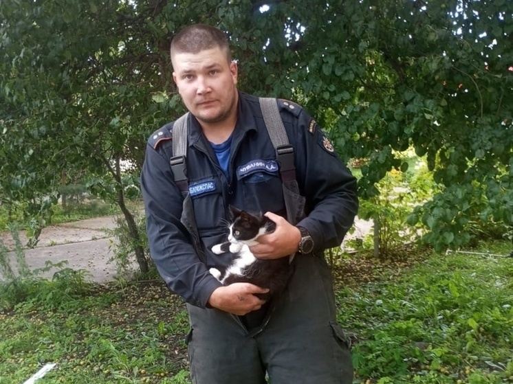 Подмосковные спасатели помогли маленькому котенку