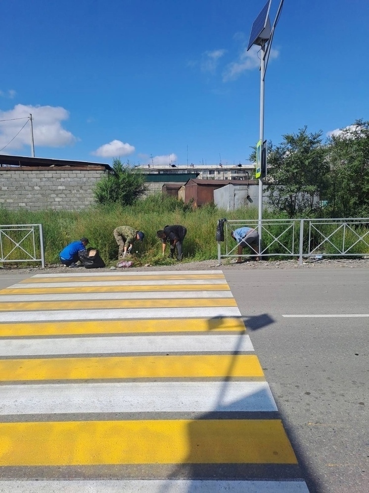 В Кызыле обрезают кусты и устраняют бурьяны