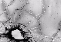 Губернатор Белгородской области Вячеслав Гладков подтвердил информацию о том, что пострадавший при обстреле поселка Климово ребенок выжил