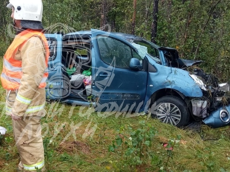 Спасатели достали пострадавших из перевернувшейся машины на трассе в Карелии