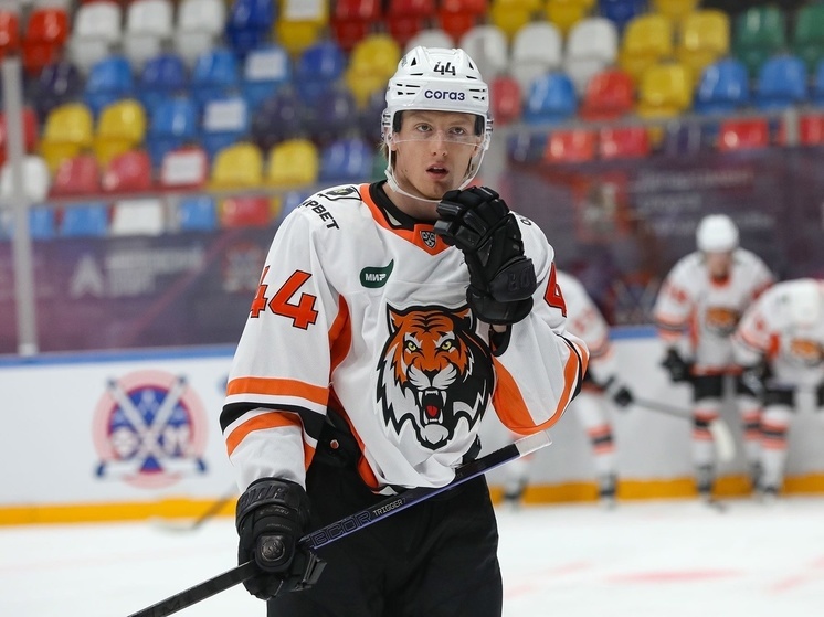 Хабаровские хоккеисты в новом сезоне будут готовы побороться за плей-офф