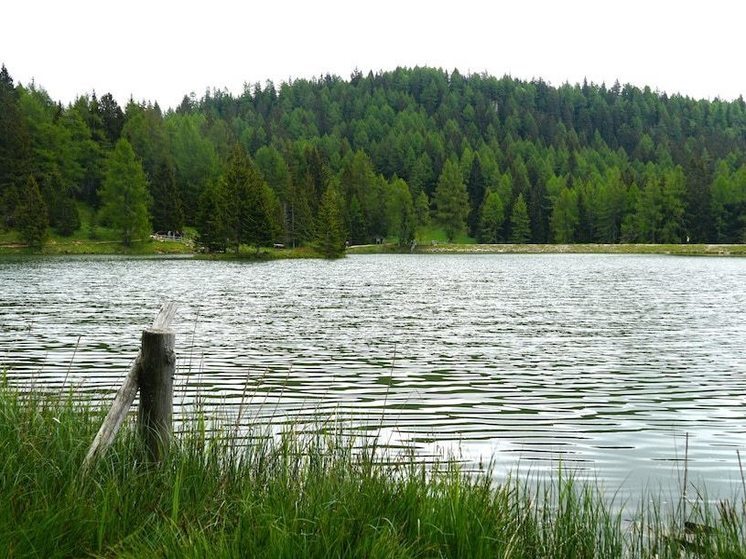 В Красноярске на озере утонул мужчина