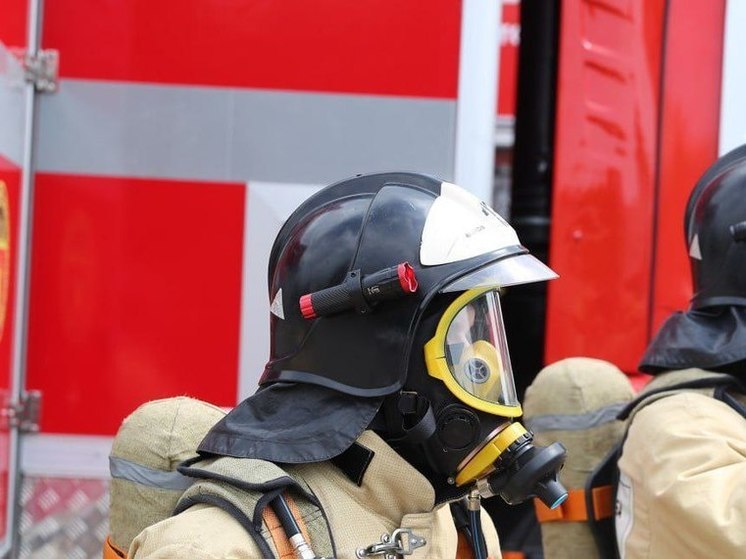 За лето в Краснодаре произошло 487 пожаров