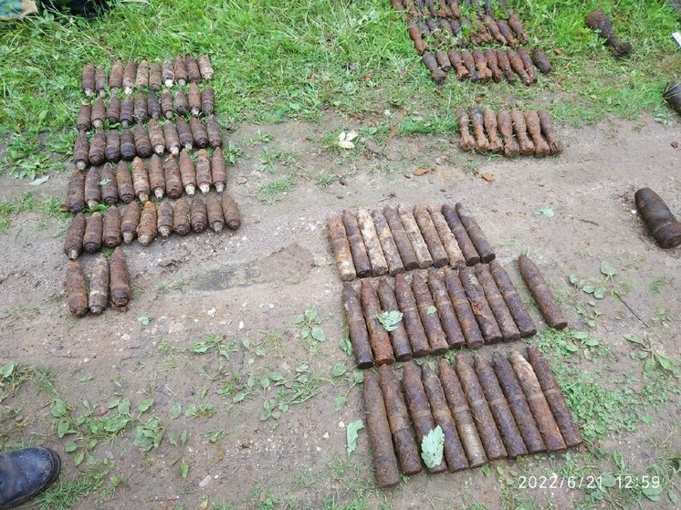 В Ярцевском районе уничтожили боеприпасы времен Великой Отечественной войны