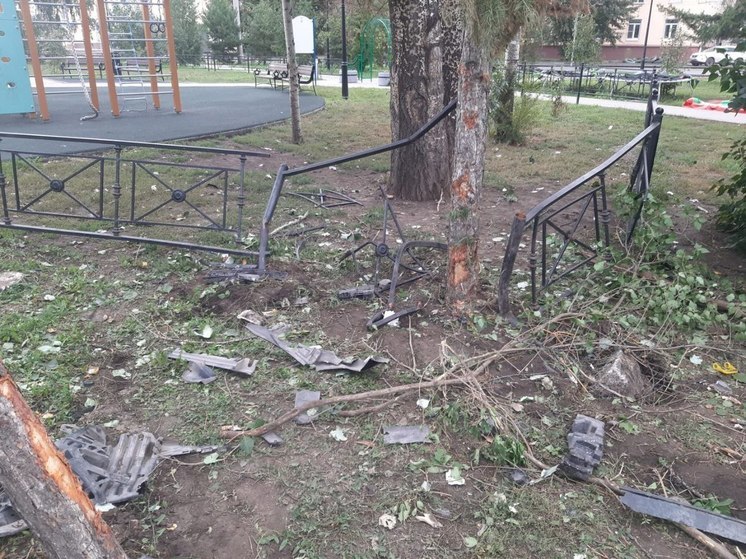 Мэра Омска Сергея Шелеста возмутил вандализм на бульваре Победы