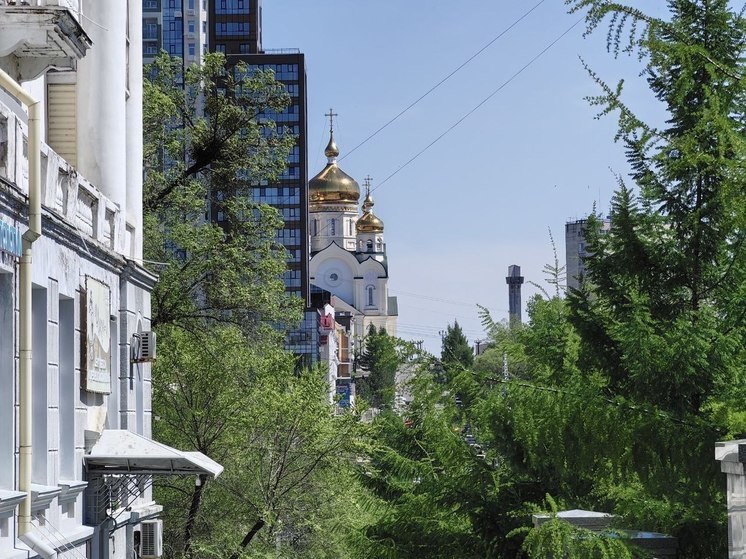 Михаил Дегтярев представит документ президенту во время ВЭФ-2023