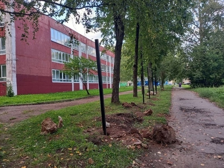В Ярославле элитная школа встретит 1 сентября без забора.