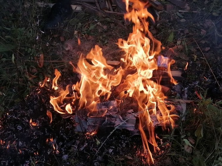 В Тульской области за сутки горели сооружение и катушки соломы