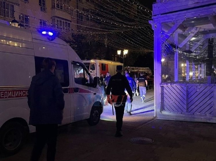 Задымление в ресторане на улице Почтовой произошло из-за подгорания пищи
