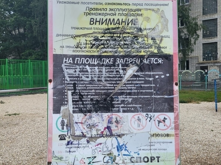 В Бежицком районе Брянска выявили бесхозную детскую площадку