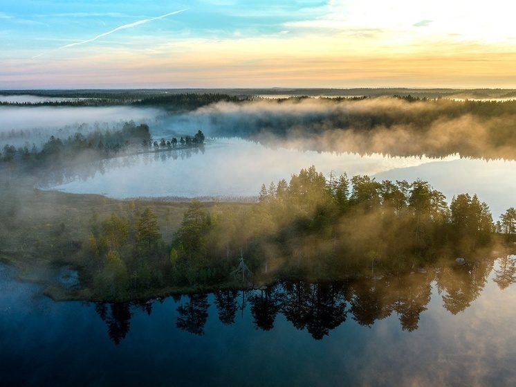 Завораживающий кадр сделал фотограф утром в Карелии
