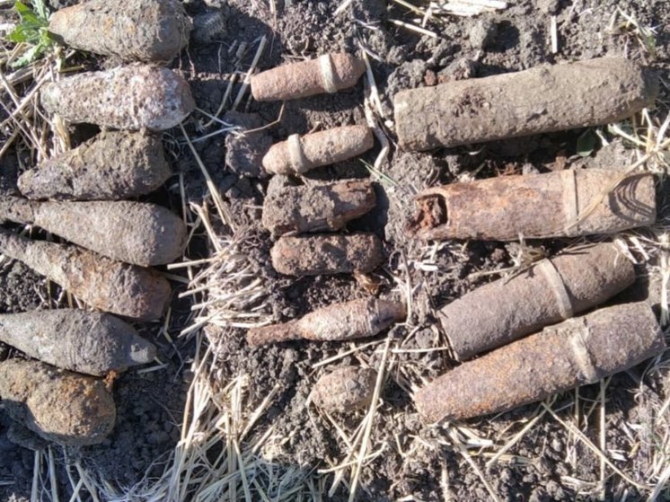 На дне оросительного канала в Крымском районе нашли 17 боеприпасов