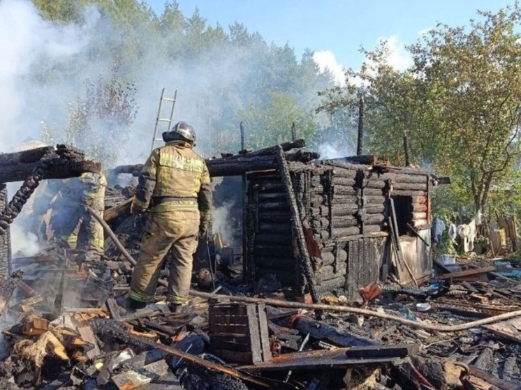 В Ижевске сгорел частный дом на ул. Васнецова