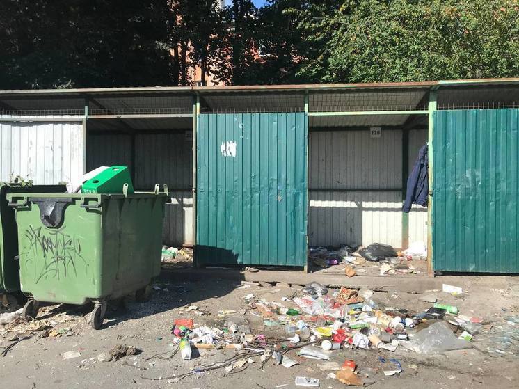 Жителям дома в центре Петрозаводска предлагают искать хозяев зловонной помойки