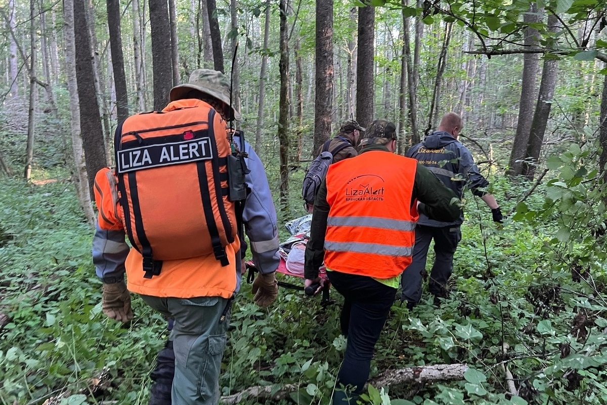 Волонтеры разыскали в брянском лесу заблудившуюся пожилую женщину