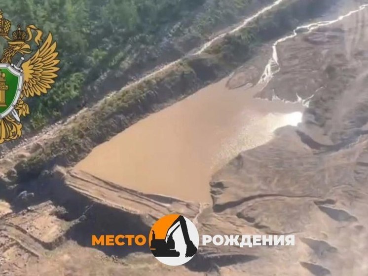 Золотодобывающая компания в Забайкалье захламила участок и загрязнила ключ