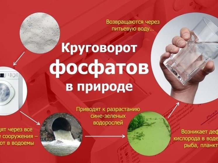 Жителей Переславля призвали отказаться от стирального порошка