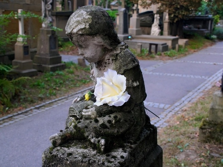 В Башкирии уровень младенческой смертности сократился в полтора раза