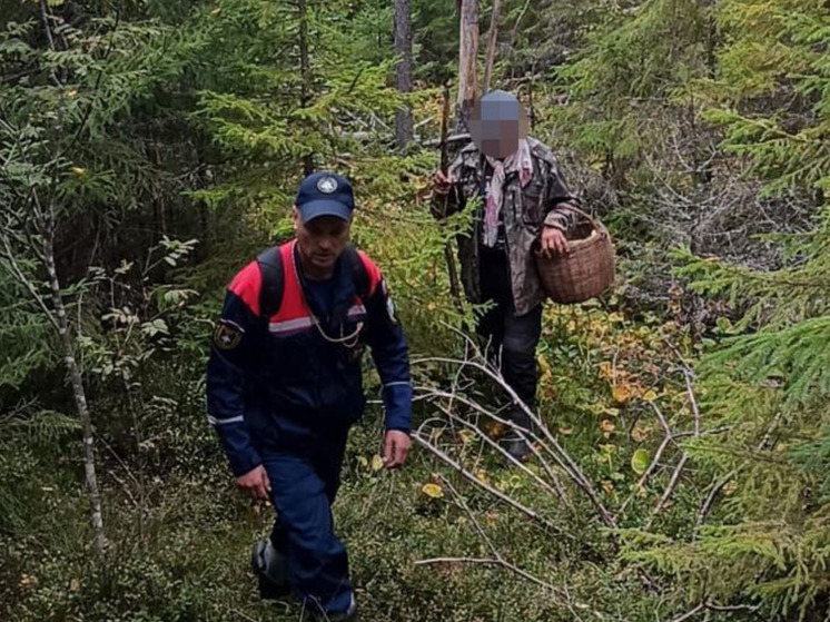 В Волховском районе спасатели помогли заблудившемуся мужчине выйти из леса
