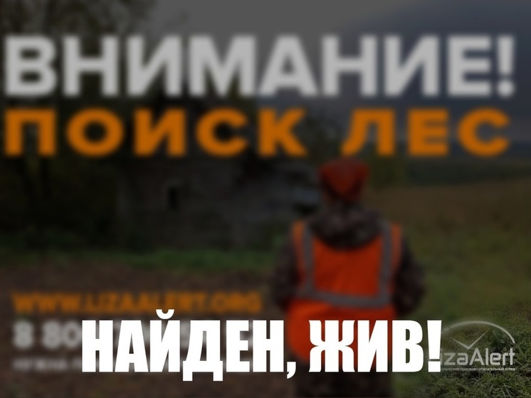 Костромские поисковики оперативно разыскали пропавшего в лесу пожилого мужчину